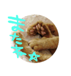 うずとろみるく（個別スタンプ：8）