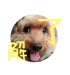 うずとろみるく（個別スタンプ：9）