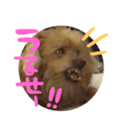 うずとろみるく（個別スタンプ：12）