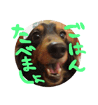 うずとろみるく（個別スタンプ：13）