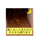猫のうなぎさん（個別スタンプ：9）