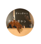 猫のうなぎさん（個別スタンプ：16）