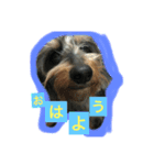 モジャと鳥スタンプそのに（個別スタンプ：2）