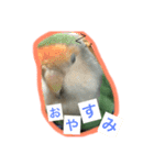モジャと鳥スタンプそのに（個別スタンプ：3）