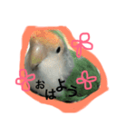 モジャと鳥スタンプそのに（個別スタンプ：6）