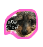 モジャと鳥スタンプそのに（個別スタンプ：8）