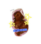 トイプードルうめちゃんの挨拶（個別スタンプ：4）