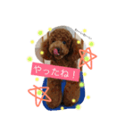 トイプードルうめちゃんの挨拶（個別スタンプ：32）