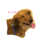 max max max（個別スタンプ：2）