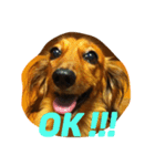 max max max（個別スタンプ：6）