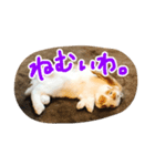 withnana（個別スタンプ：2）