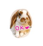 withnana（個別スタンプ：3）