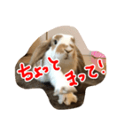 withnana（個別スタンプ：4）