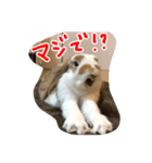 withnana（個別スタンプ：5）