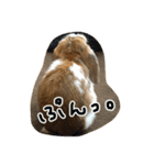 withnana（個別スタンプ：6）