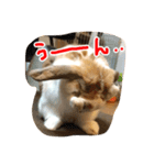withnana（個別スタンプ：7）