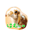 withnana（個別スタンプ：8）