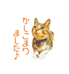 敬語にゃんこず（個別スタンプ：2）
