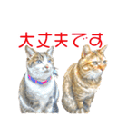 敬語にゃんこず（個別スタンプ：5）