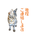 敬語にゃんこず（個別スタンプ：12）