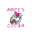 敬語にゃんこず（個別スタンプ：16）