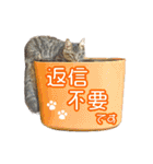 敬語にゃんこず（個別スタンプ：26）