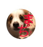 Reonimu（個別スタンプ：4）