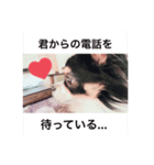 mizunacouple（個別スタンプ：6）