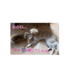 *Sakura ＆ Suzy*（個別スタンプ：11）