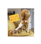 *Sakura ＆ Suzy*（個別スタンプ：22）