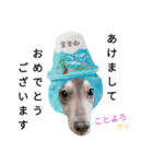 我が家のぷりんちゃん 2（個別スタンプ：17）