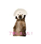 福岡のなすび（個別スタンプ：8）