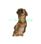 福岡のなすび（個別スタンプ：13）