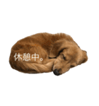 福岡のなすび（個別スタンプ：14）