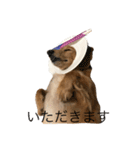 福岡のなすび（個別スタンプ：20）