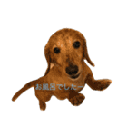 福岡のなすび（個別スタンプ：23）
