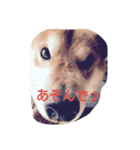HiroTaka Familys（個別スタンプ：11）