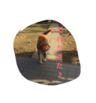 HiroTaka Familys（個別スタンプ：22）