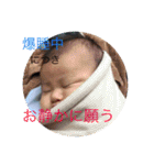 MY  FAMILY 01（個別スタンプ：8）