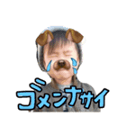 ryuku stamp（個別スタンプ：9）