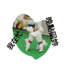 Maltest nose（個別スタンプ：5）