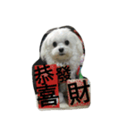 Maltest nose（個別スタンプ：9）