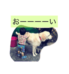 hello my mama（個別スタンプ：4）