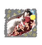 可愛い1111（個別スタンプ：3）
