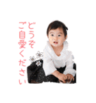 kahomegstamps（個別スタンプ：28）