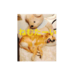 らしくん パート2（個別スタンプ：7）