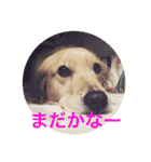 らしくん パート2（個別スタンプ：8）