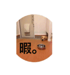 らしくん パート2（個別スタンプ：10）