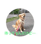らしくん パート2（個別スタンプ：14）