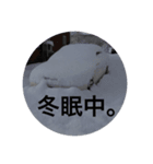 I'm KuZu（個別スタンプ：6）